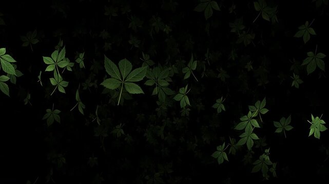 Animated video footage of green leaf particles drifting slowly downward.