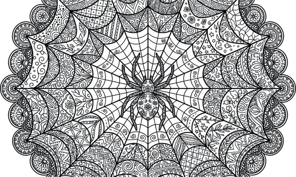 Intricate spider web vector illustration featuring a detailed spider center surrounded by highly decorative Halloween themed Zentangle mandala patterns and lace borders.