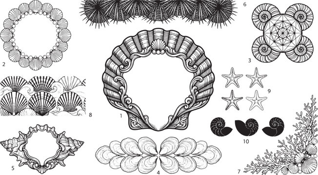 Collection of nautical and marine themed line frames, borders, and featuring seashells, starfish, and coral on white background