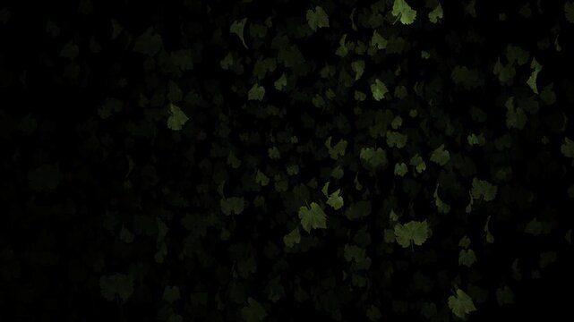 Animated video footage of green leaf particles drifting slowly downward.