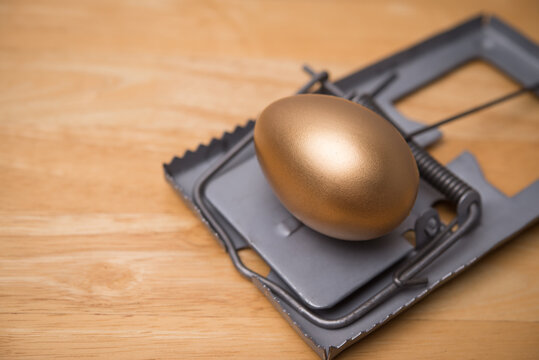 Close up gold egg in a rat trap on wooden table background with copy space. Dividend yield trap in stock market investment, loss due to share price reduce, a stock without any capital gains concept.