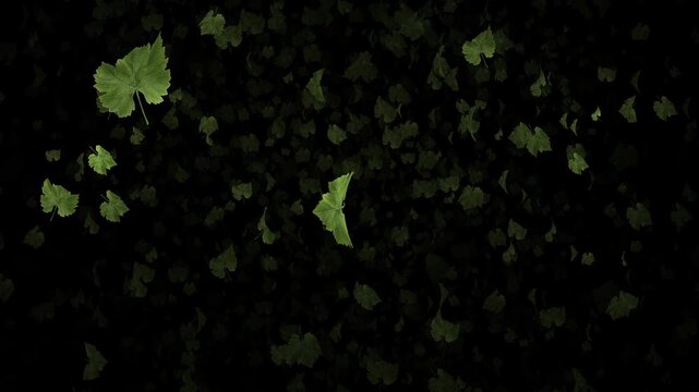 Animated video footage of green leaf particles drifting slowly downward.