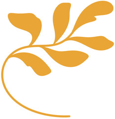 Fototapeta premium vector illustration of an orange fruit