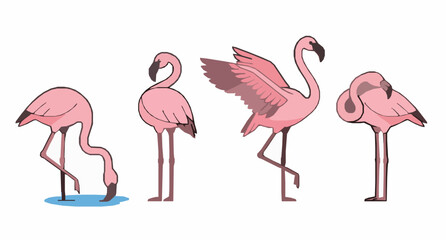 Obraz premium Minimal Pink Flamingo Bird Collection with Four Unique Tropical Wildlife Poses Vector
