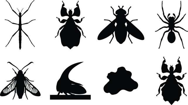Exotic Insects and Unique Camouflaged Bugs Vector Silhouette Set Isolated on White Background