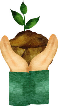 Hands holding a small plant seedling in soil, watercolor style