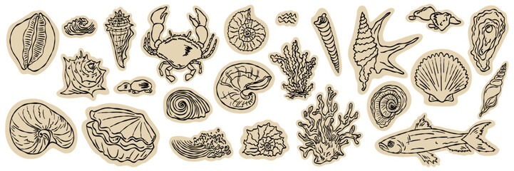 Mediterranean sea life collection with hand drawn shells, coral, fish, crab and marine doodles, vintage outline sticker clipart in collage scrapbook style, whimsical coastal vector illustration © Marharyta