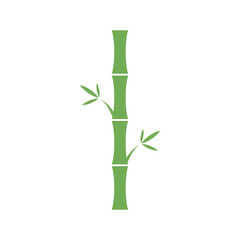 Obraz premium Green bamboo stalks and leaves vector illustration. Green bamboo stalks and leaves in flat design style. Green bamboo stalks plant illustration