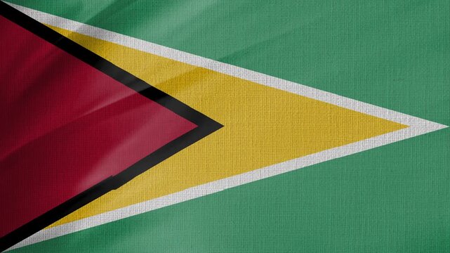 Guyana Flag Animation With Fabric Texture