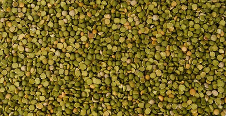 Obraz premium Detailed macro texture of dried split green peas filling the frame 