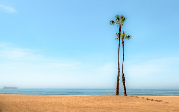 Two tall palm trees stand on a sandy beach with the ocean and a distant ship