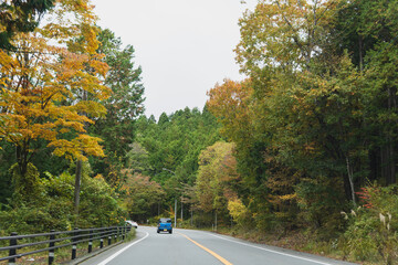 日本：富士パノラマライン「篭坂峠」の紅葉／山梨県山中湖村・11月 © yumiko
