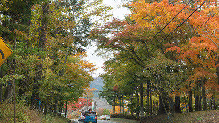 日本：富士パノラマライン／秋の「篭坂峠」／山梨県山中湖村・11月 © yumiko