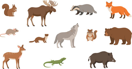 Obraz premium Flat design forest wild animals vector illustration set featuring fox bear wolf deer moose squirrel chipmunk lizard and boar for nature education kids book project