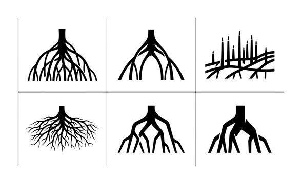 Diverse Root Systems Vector Icons, Plant Biology, Growth Patterns, Botanical Science
