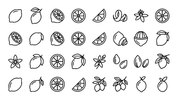 Modern lemon outline icon pack scalable citrus vector symbols