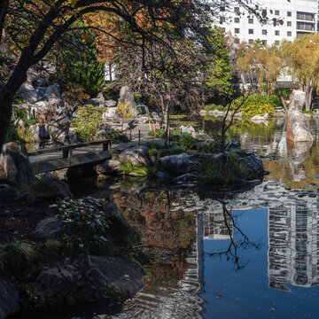 Chinese garden in central Sydney, Australia, featuring a lily pond with reflections of the surrounding skyscrapers..
