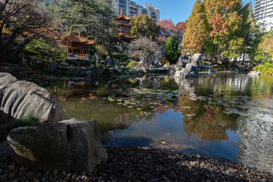 Chinese garden in central Sydney, Australia, featuring a lily pond, pagodas, rock sculptures, trees, and various other plants.