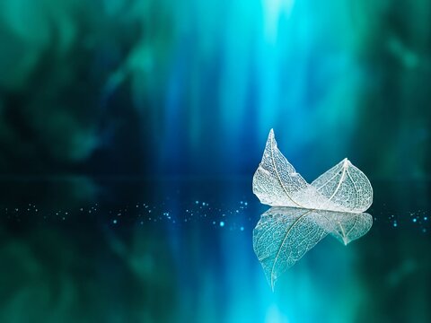 Delicate Skeleton Leaf Reflection on Blue Background with Soft Light