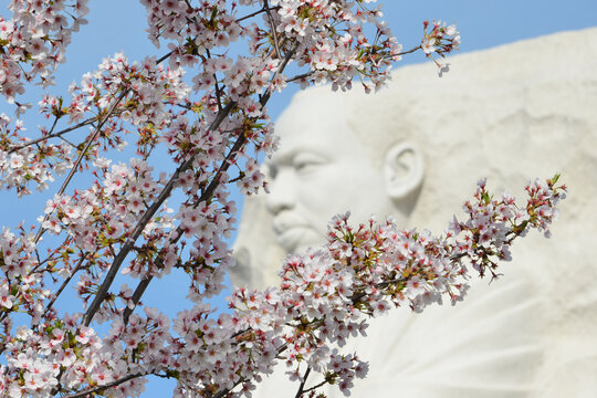 WASHINGTON DC - APR 13 2014: The Martin Luther King Jr Memorial in Washington DC on April 13, 2014. The memorial opened to the public on August 22, 2011. 