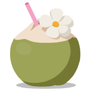 Fresh green young coconut fruit drink with straw and tropical flower illustration.