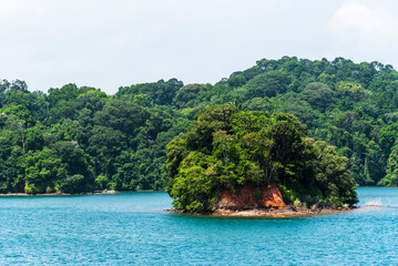 Obraz premium Tropical forest landscape along the Panama Canal with abundant greenery covering the waterway banks.
