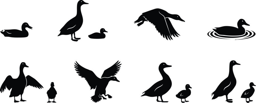 Collection of black duck and goose silhouettes in various poses and activities