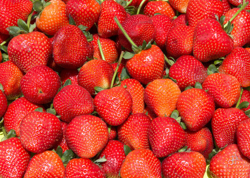 Close up on  freshly picked ripe red strawberries with stems on for sale at farmers market. View from above.