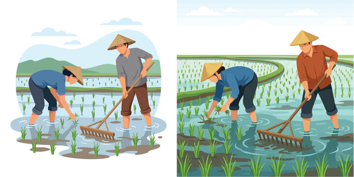 Vector illustration of traditional Asian farmers planting rice and working in a green paddy field