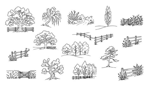 Rural Countryside Landscape Line Art Vector Set with Wooden Fences, Farm Gates, Oak Trees, and Meadow Shrub Outlines for Backyard Garden Designs
