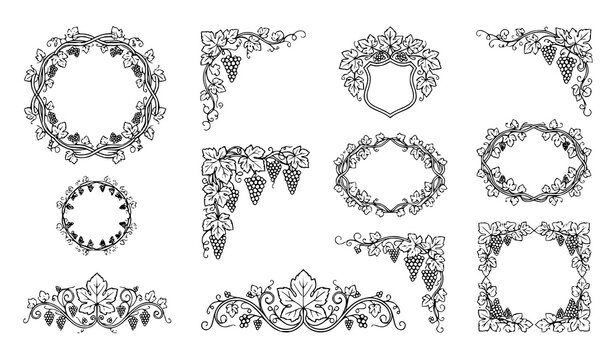 Ornate Grapevine Frame and Corner Border Line Art Vector Element Set with Elegant Fruit Clusters Leaves and Vignettes for Winery Product Labels
