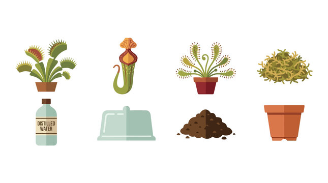 Illustration of various carnivorous plants and gardening supplies including potted venus flytrap sundew pitcher plant and soil for plant care