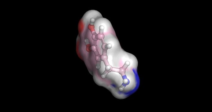 Dopamine, catecholamine neurotransmitter and vasopressor for hemodynamic support, 3D molecule spinning, 4K