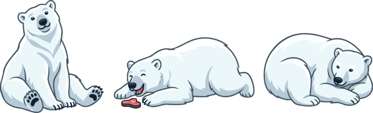 Cute Polar Bear Cartoon Character Vector Set Featuring Playful Arctic Wildlife Poses Sitting Eating Raw Meat and Curled Up Sleeping for Kids Sticker DesignsCute Polar Bear Cartoon Character Vector Set