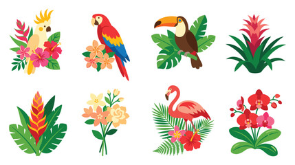 Tropical birds and exotic flowers vector set paradise exotic flowers and colorful birds wildlife. © Md