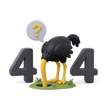 Ostrich hiding head in grass 404 error page web design