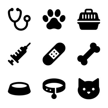 Set of Medical and Pet Care Icons Including Stethoscope, Paw Print, Carrier, Syringe, Bandage, Bone, Bowl, Collar, and Cat Head