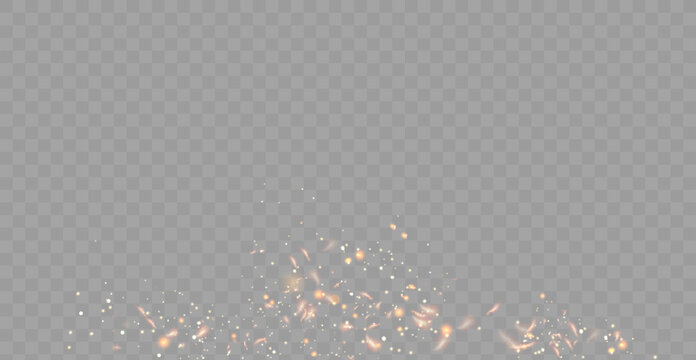 Bright Golden Fire Sparks and Glowing Ember Particles Floating on Transparent Background.