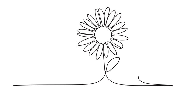 Continuous single line drawing of a simple daisy flower on a flat surface