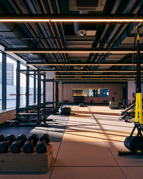 Empty Modern Gym Interior with Dumbbells and Weight Racks
