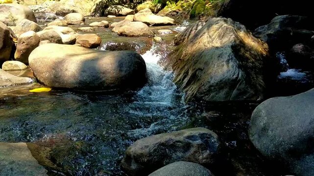 A quiet stream trickles lightly over smooth stones nearby. 