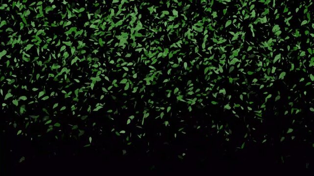 Dark green leaf pattern against a black background, creating a natural foliage texture with a calm, moody feel. Ideal for live wallpaper, backdrop, nature themes, and design use.