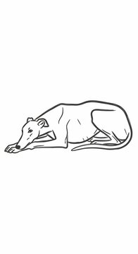 Graceful Slumber of the Windhound