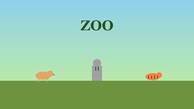 Minimalist zoo animation with cute kiwi bird and beaver character 4k animal