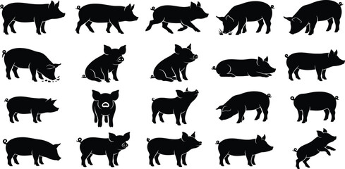 Pig silhouette set, farm animal vector icons, standing, running, eating, sitting, lying, jumping, front view, isolated white background, black design ©  ONLI SILHOUETTE