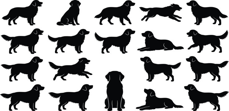 Golden retriever silhouette set, dog poses vector, sitting running standing puppy icons, pet silhouettes, canine silhouette bundle, animal clipart, isolated