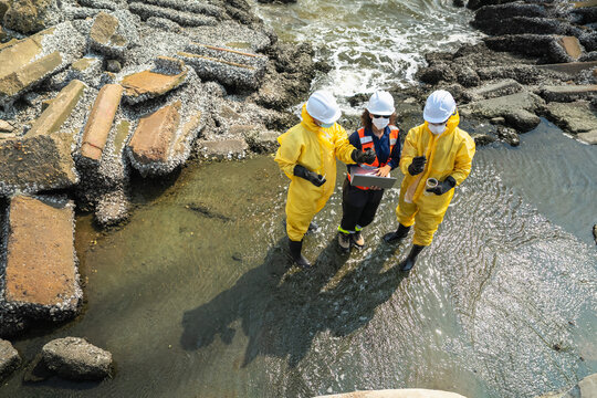Environmental researchers studying coastal ecosystems in protective gear at the tidal zone for conservation efforts