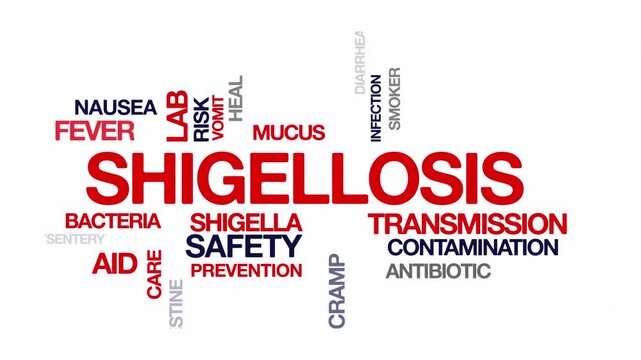 Shigellosis concept Animated Tag Word Cloud kinetic typography, Text Design Animation typography seamless loop video motion graphics Intro Wordart arrangement red type on white background bg backdr