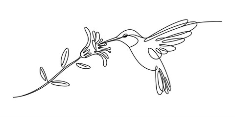 Hummingbird flying and drinking nectar from a flower in a continuous single line drawing style perfect for modern minimalist art and nature design © Next to Work