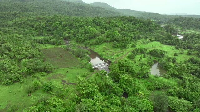 Drone view of lush green forest with winding river and small check dam